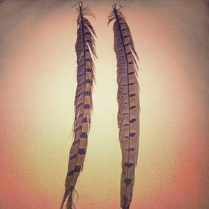 Long feather earrings