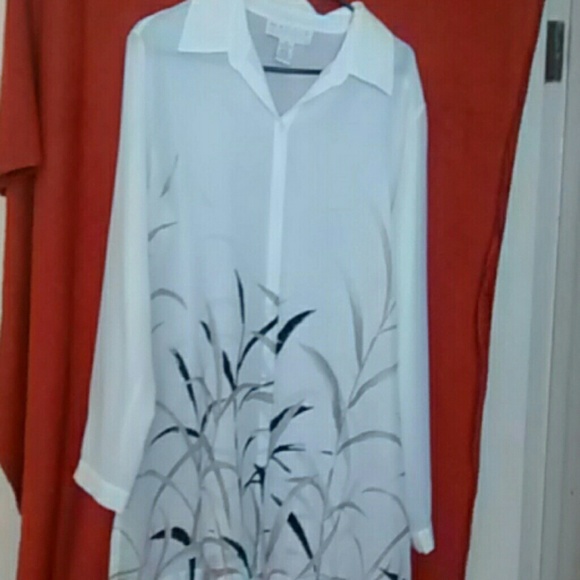 Long sleeve shear shirt.