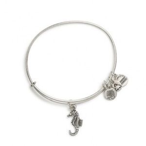 Alex and Ani seahorse