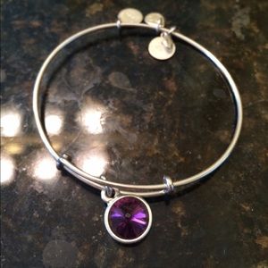 Alex and Ani February birthstone