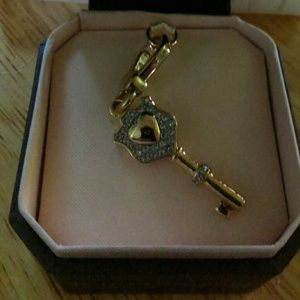 Juicy crystal pave key charm