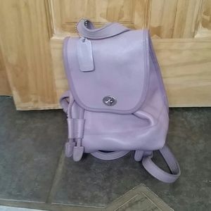 Back pack purse