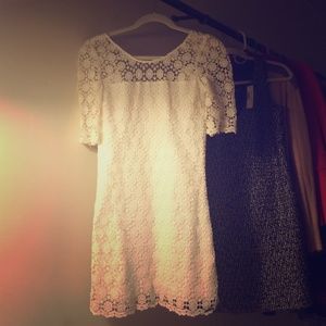 abercrombie & fitch lace dress