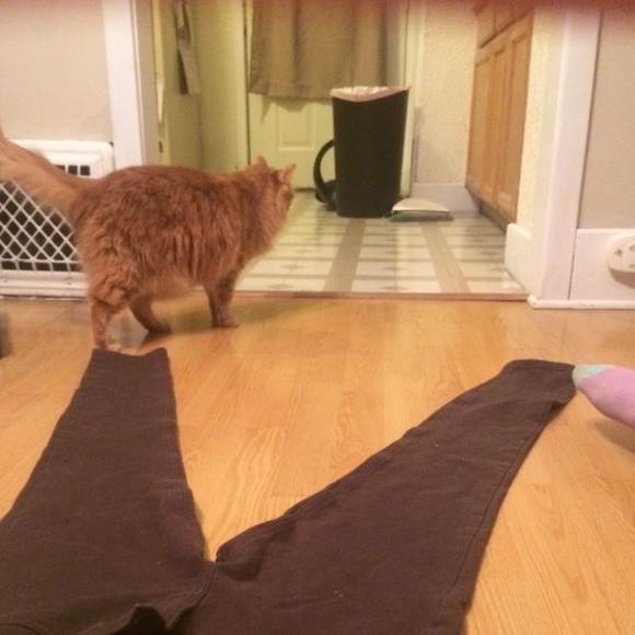 Brown pants