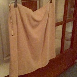 Ann Taylor Skirt NWT 12 Petite Gold zipper detail