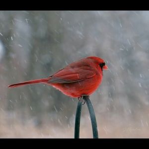 Love shopping on here. Fabulous deals and ppl.