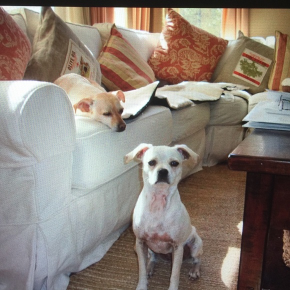 🌺Meet your seller/buyer🌺🐱🐶 - Picture 4 of 12