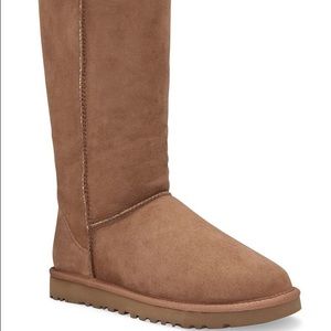 Class tall chesnut uggs