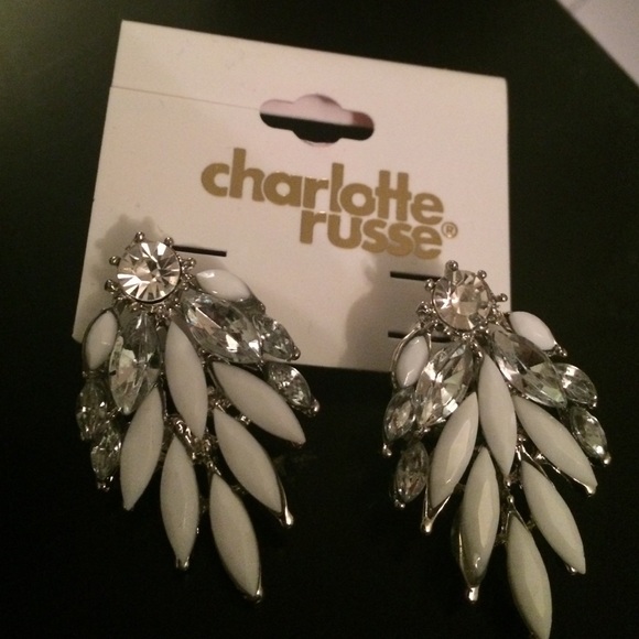 Brand new earrings never been worn