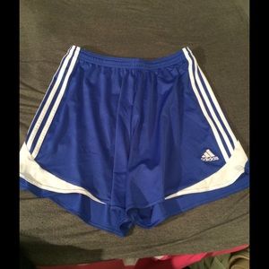 Royal blue Adidas workout shorts