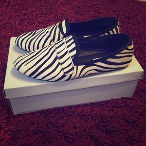 Steve Madden Eltonn Zebra