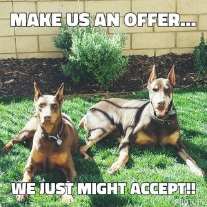 WE’RE BACK!!  💖😊🎉💥ACCEPTING REASONABLE OFFERS!!💥🎉😊💖