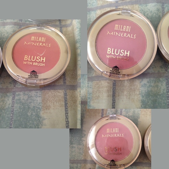 Milani Minerals blush set, with brush.