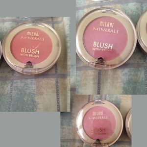 Milani Minerals blush set, with brush.