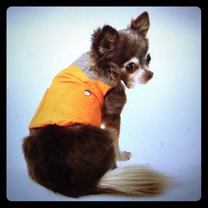 Bone Body Warmer - Orange