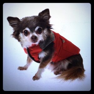 Bone Body Warmer - Red