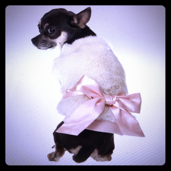 Fur Explosion Jacket - Beige