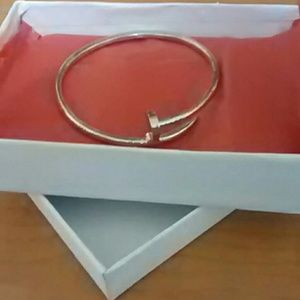 Nail  and pin silver bracelet