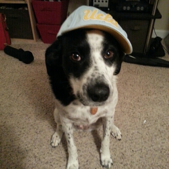 MEET YOUR SELLER 🎀👍🏽 - Picture 3 of 3