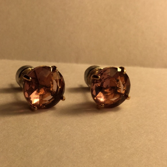 Fossil Amethyst stud earrings