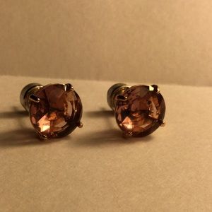 Fossil Amethyst stud earrings