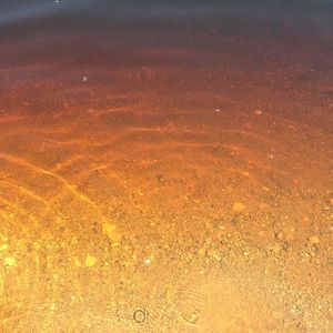 ONE TEASPOON SWIM SUIT RESERVED