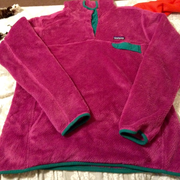 Hooded Patagonia
