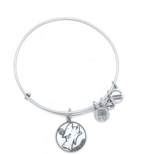 Alex and ani bracelet