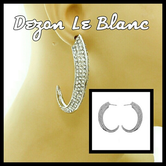 Clear Ice Curve Earrings