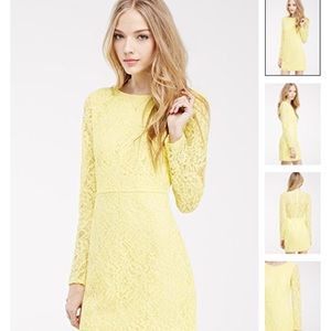 Yellow lace sheath dress.  Forever 21.