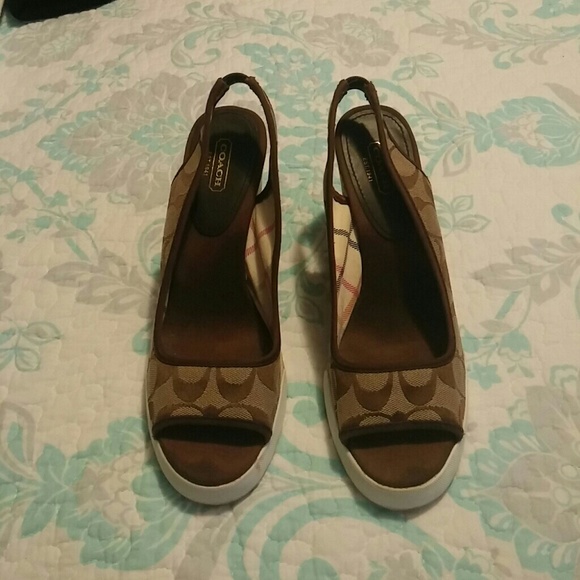 Coach Brown hedges 1 hour sale