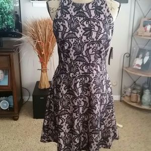 NWT Stunning Lace Dress!