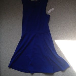 Navy Blue Skater Dress