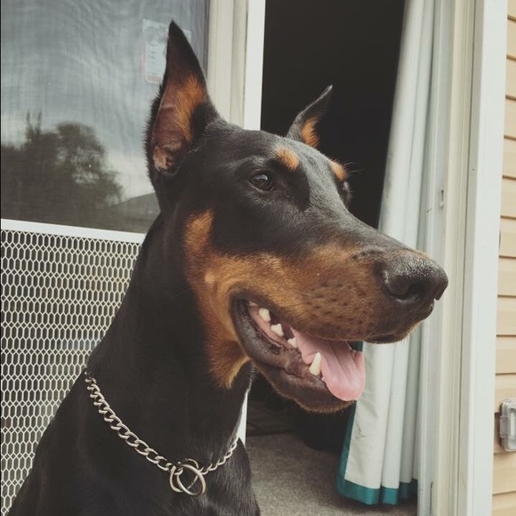 Meet your seller/buyer - Picture 2 of 3