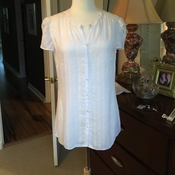 Banana Republic Sheer Blouse - Picture 1 of 2