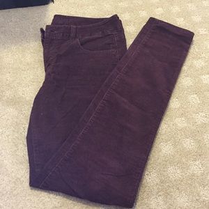 Plum Corduroy Pants from American Eagle