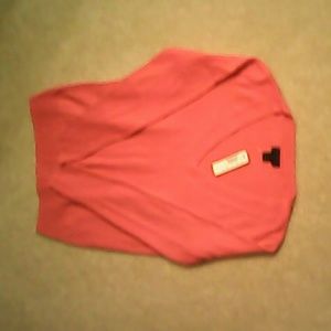 Jcrew nwt cashmere v neck sweater