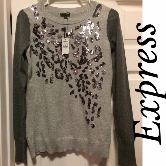 ❌SOLD! NWT Express Grey Sweater