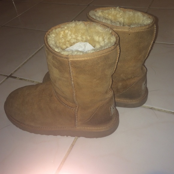 Classic Short Women's UGGs