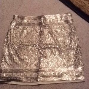 Beautiful Sequin skirt - DONATING 10/24