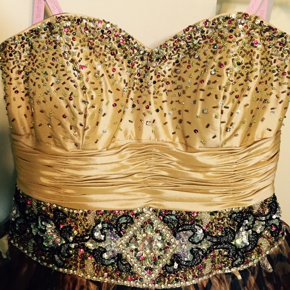 Blush Prom Organza Gown Dress( Prom /Quinceanera) - Picture 2 of 4