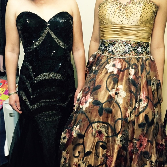 Blush Prom Organza Gown Dress( Prom /Quinceanera) - Picture 3 of 4