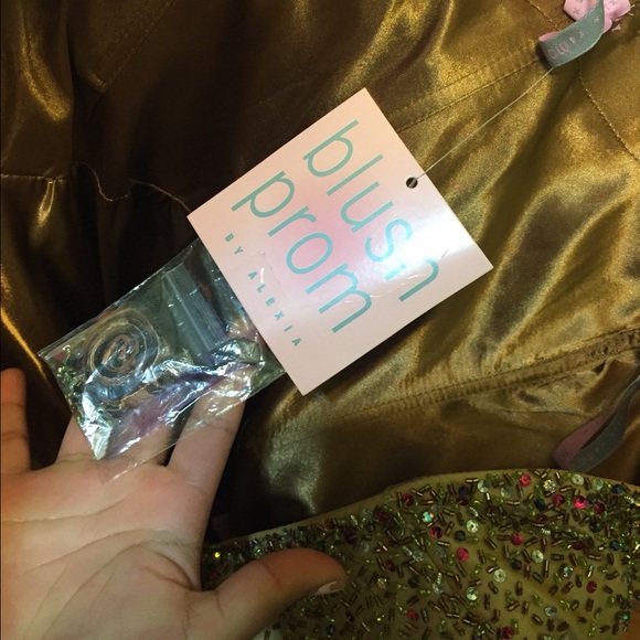 Blush Prom Organza Gown Dress( Prom /Quinceanera) - Picture 4 of 4