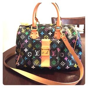 Louis Vuitton Purse