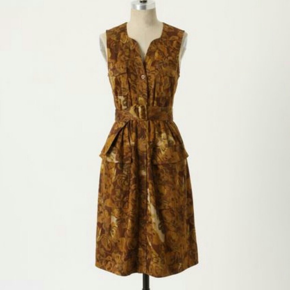 Anthropologie Brassica Shirt Dress Petite