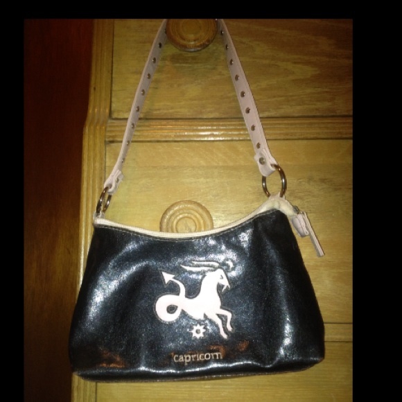 Capricorn purse