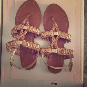 American rag gold sandals!
