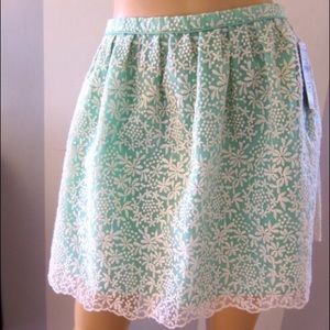 Zara eyelit mint skirt