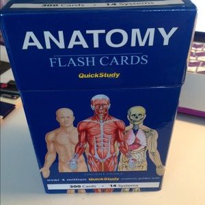 Anatomy study cards
