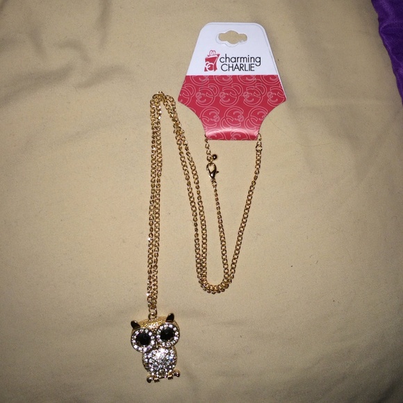 Charming Charlie Owl Necklace - Picture 2 of 3